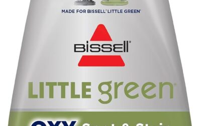 Best DIY Upholstery Cleaning Solutions for Machines in 2026