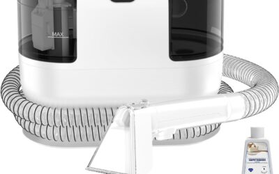 Best Carpet Cleaning Products for Stains and Carpet Cleaning Machines in 2026