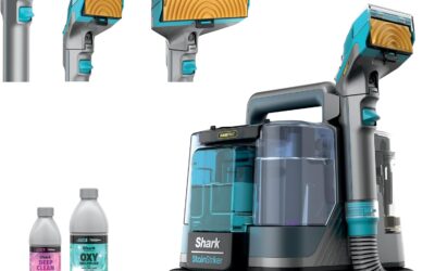Best Carpet Cleaners for Pet Stains Machines in 2026: Top Picks