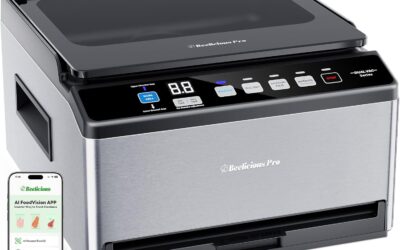 5 Best Double Vacuum Chamber Machines for Freshness in 2026