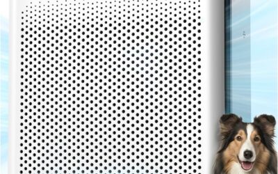 Top Air Filter Machines for Every Room Size in 2026