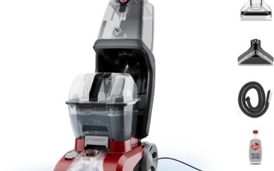 Best Carpet Cleaning Machines for Pets