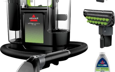 Best Dog Spots Cleaning Machines for Pet Messes in 2026